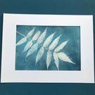 Botanical Art, Original Art. Cyanotype Art 