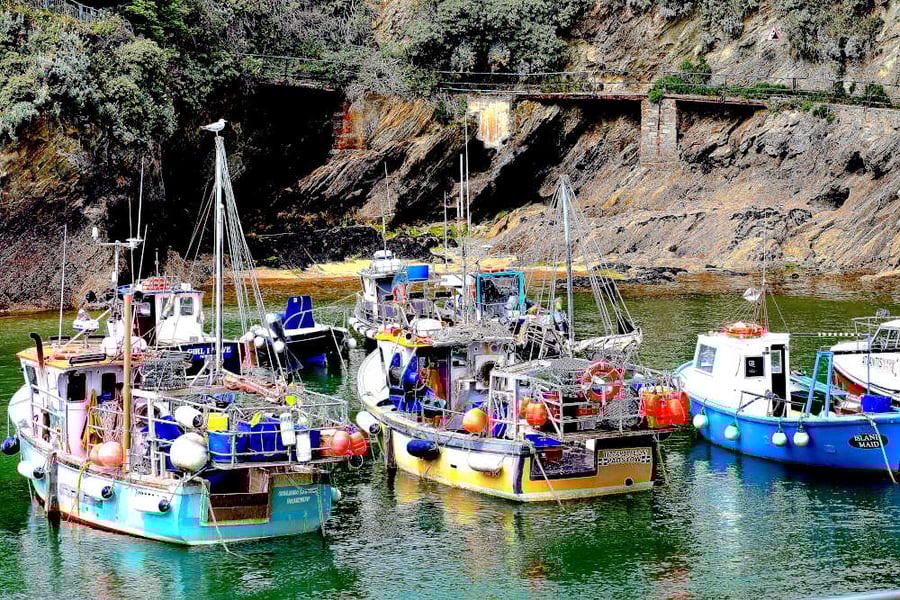 Print Newquay Fishing Boats Picture Newquay Harbour Cornwall