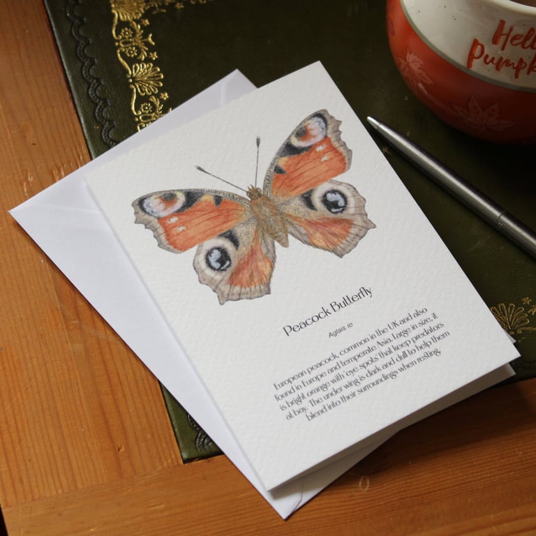Single Peacock Butterfly Greetings Card - A6 Size