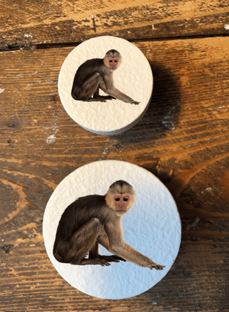Handmade Capuchin Monkeys pine door knobs wardrobe drawer handles decoupaged 