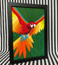 Macaw