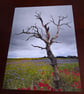 TREE AND A POPPY PHOTO 16 X 12