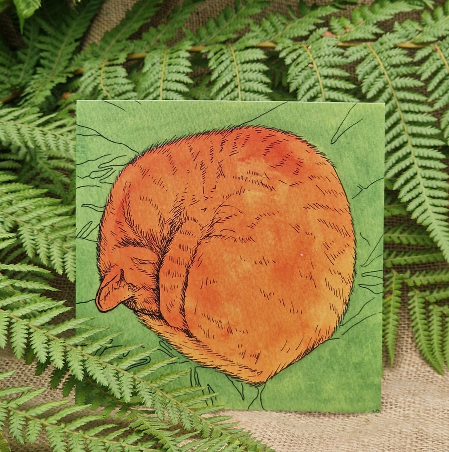 Sleeping cat card