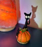 Spooked cat Halloween  - Image 2