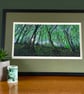 'Sunlight through the trees' original screen print - Image 1