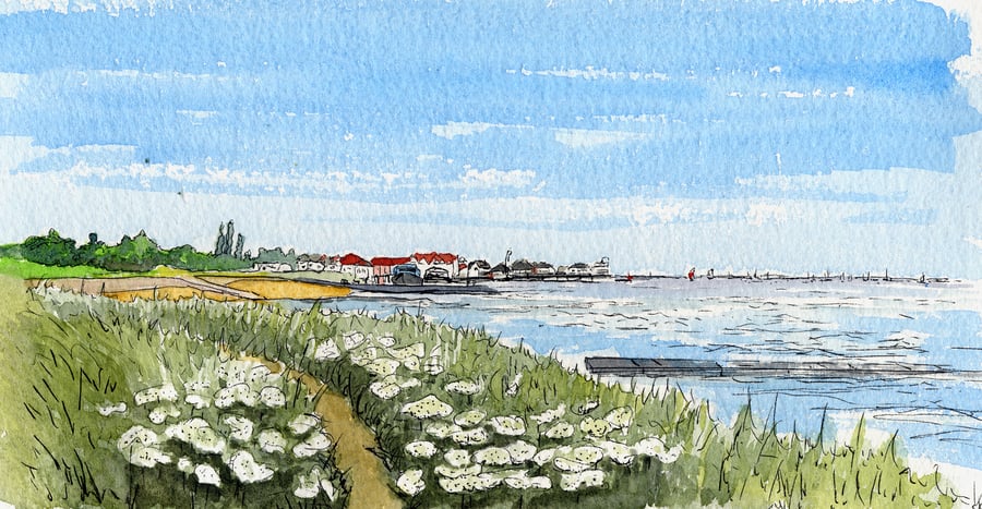 Essex - Flowers Along the Sea Wall at Burnham-on-Crouch No18