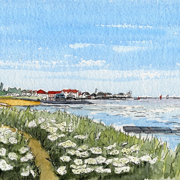 Essex - Flowers Along the Sea Wall at Burnham-on-Crouch No18