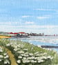 Essex - Flowers Along the Sea Wall at Burnham-on-Crouch No18 - Image 1