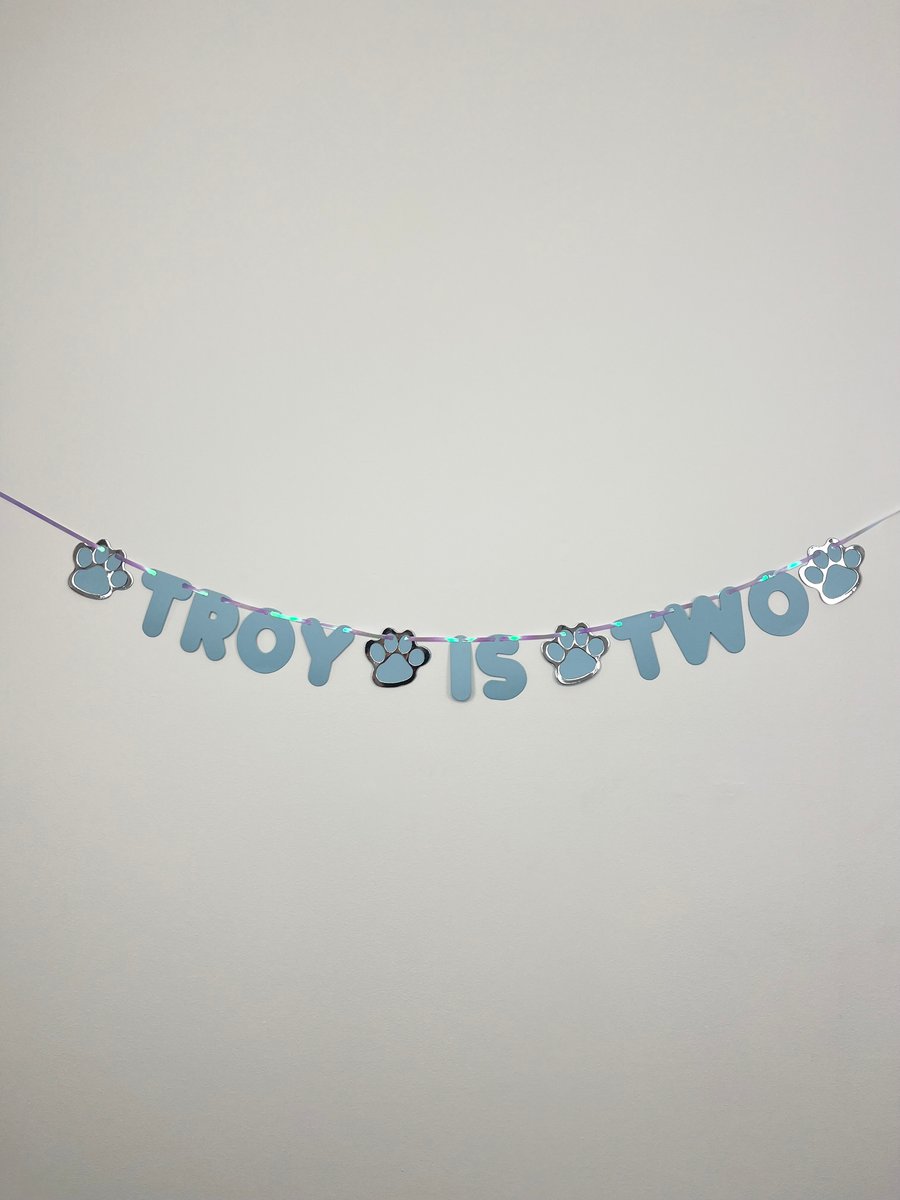 Dog Cat Custom Birthday Banner Personalised Party Bunting Blue & Silver