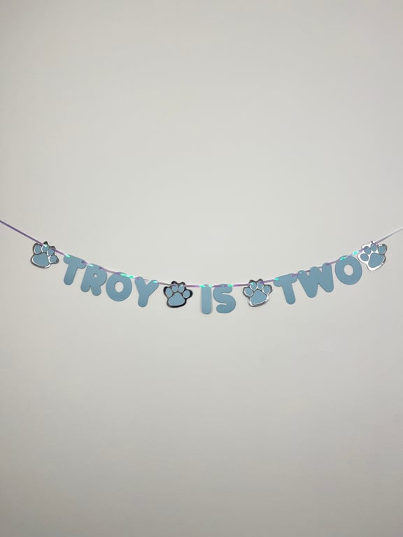 Dog Cat Custom Birthday Banner Personalised Party Bunting Blue & Silver