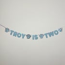 Dog Cat Custom Birthday Banner Personalised Party Bunting Blue & Silver