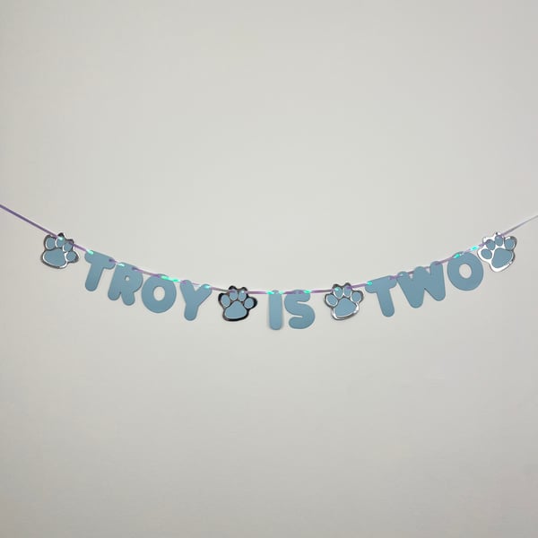 Dog Cat Custom Birthday Banner Personalised Party Bunting Blue & Silver