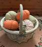 Autumn Pumpkins