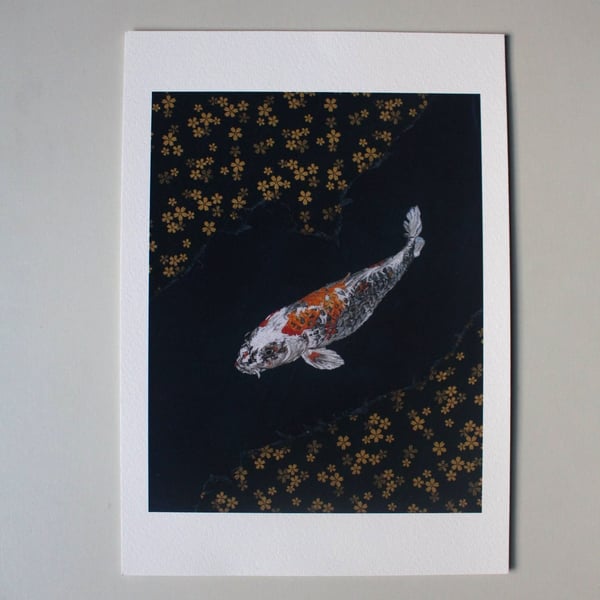 Koi Carp Fine Art Gicilee Prints 