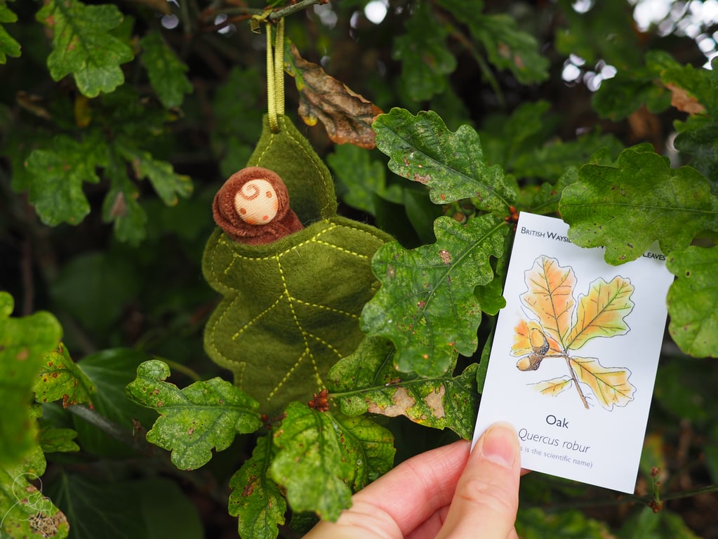 Acorn doll in an oak leaf