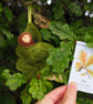 Acorn doll in an oak leaf - Image 1