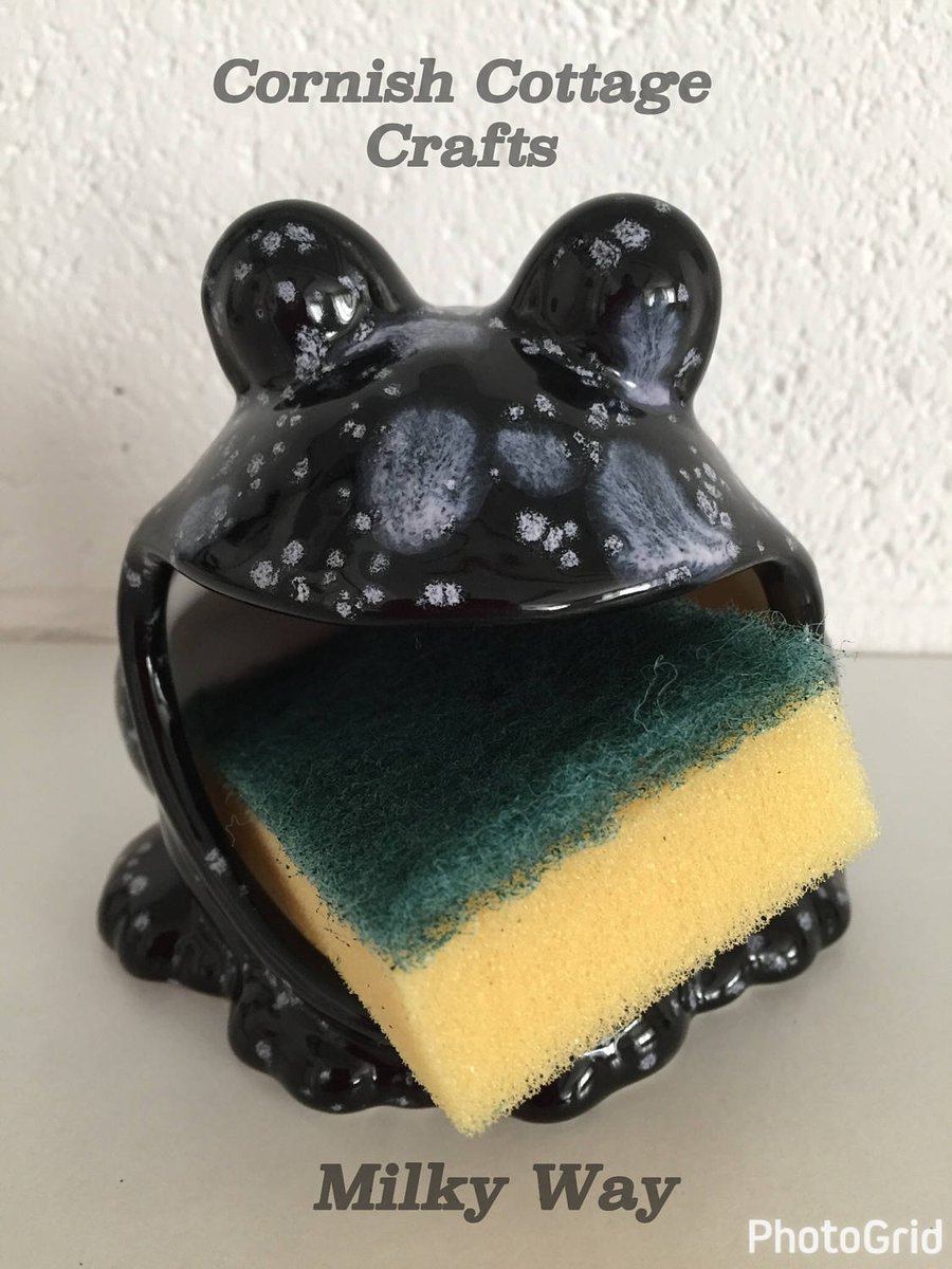 Frog scrubby holder, kitchen decor, scrubby holder, soap holder, housewarming gi