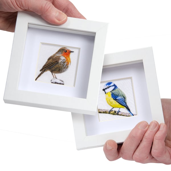 robin and bluetit - two framed pictures