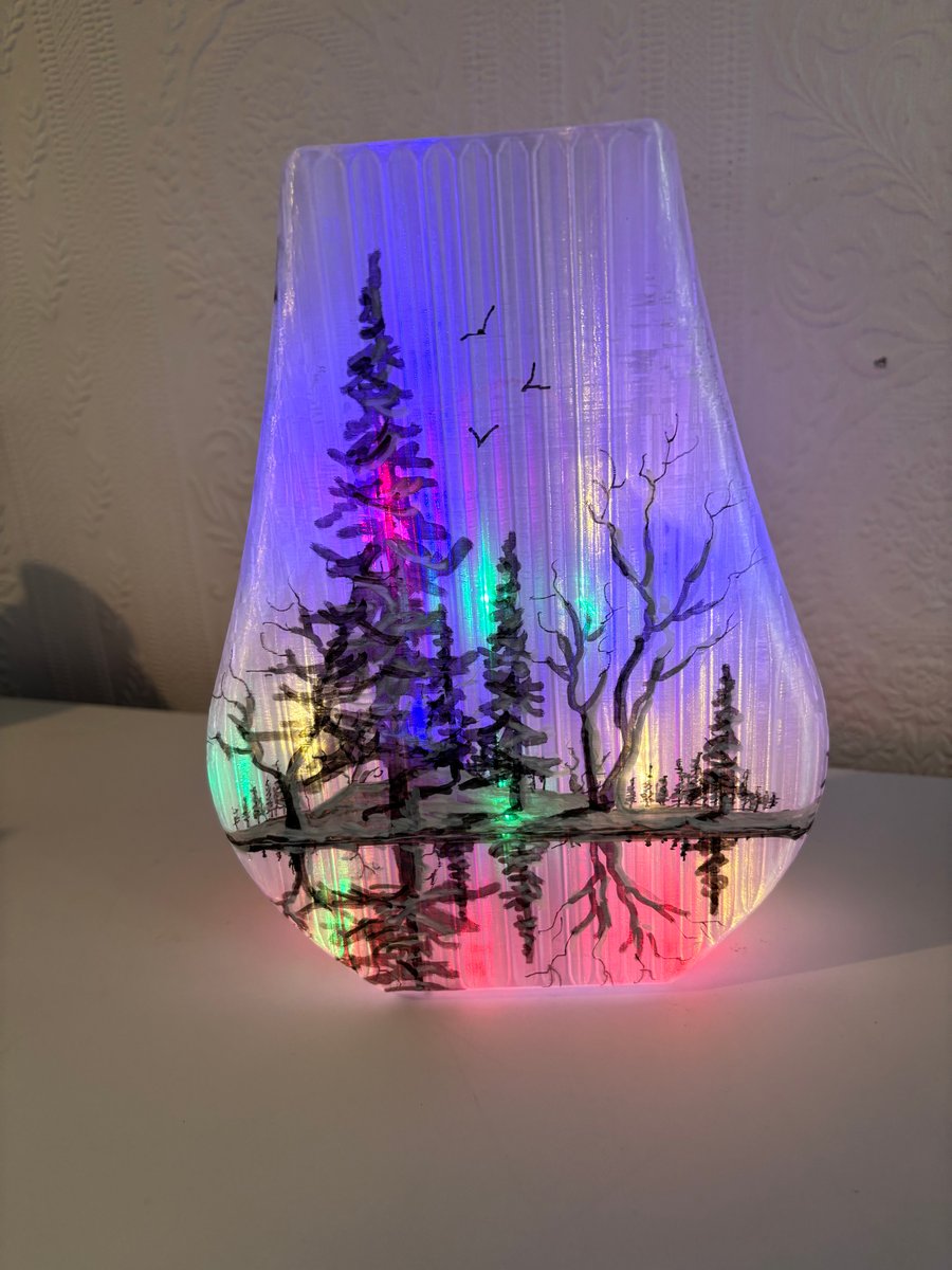 The lights of the North 