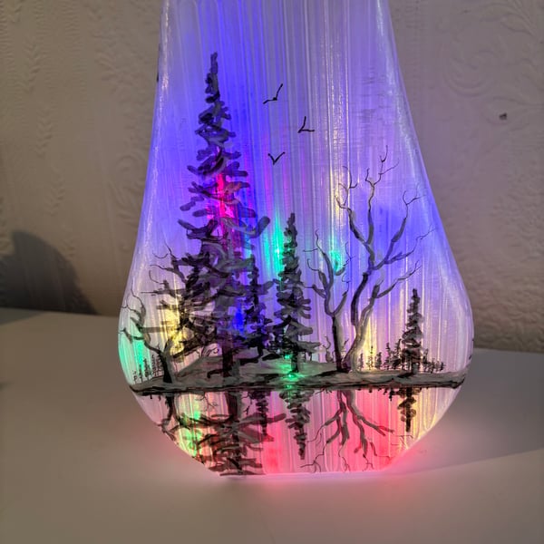 The lights of the North 