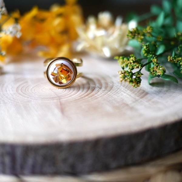 Amber Abalone Shell Hypoallergenic Adjustable Ring - Stainless Steel