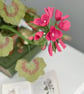 Paper Geranium - Crimson - Image 2