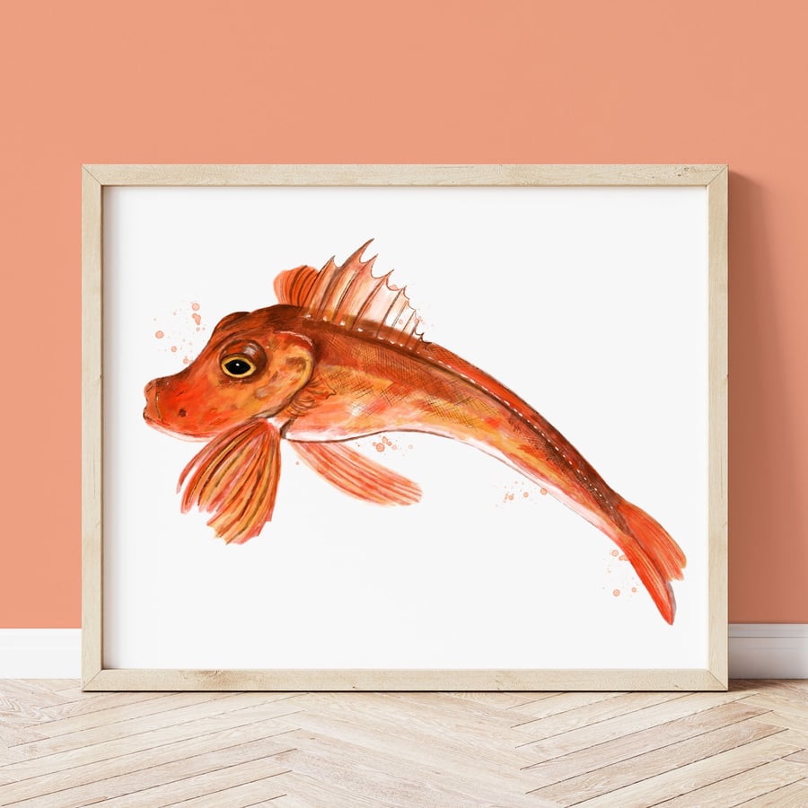 Cornish Gurnard Art Print - Cornwall Art