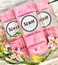 Raspberry Ripple Snap Bar Wax Melts  - Image 1