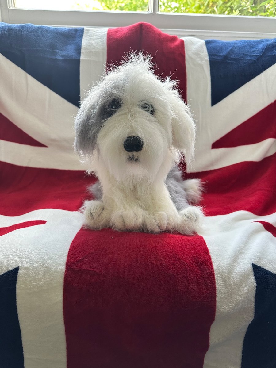 Old English sheepdog puppy