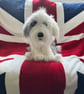 Old English sheepdog puppy