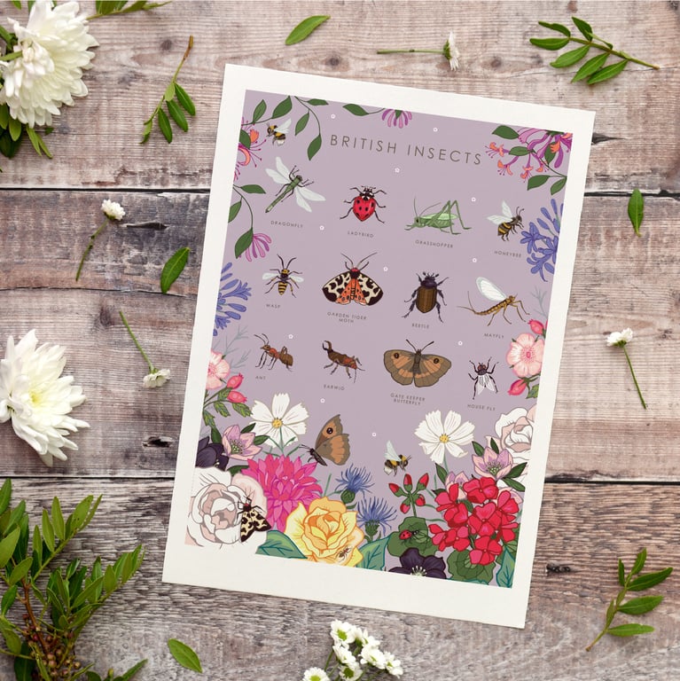 'British Insects' Illustration Print A4 Unframed 