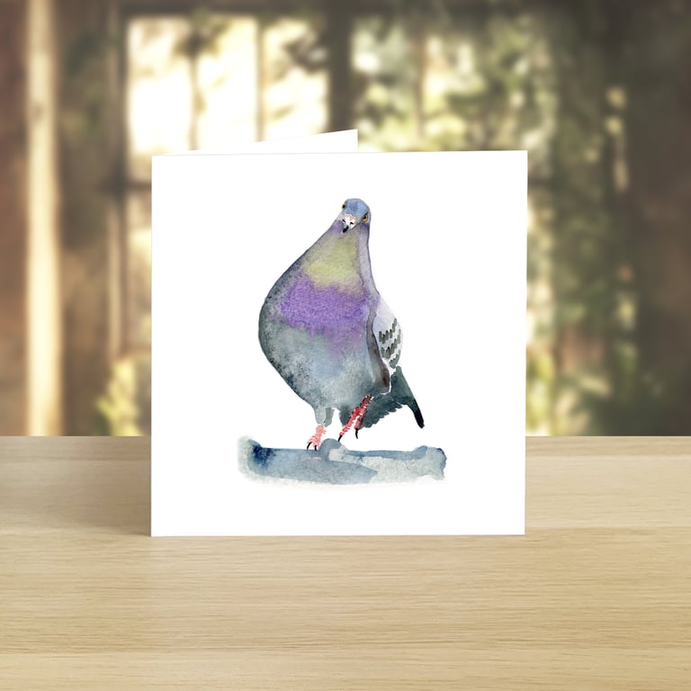 Fat Pigeon greeting card (blank)
