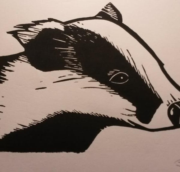 'Badger' lino print
