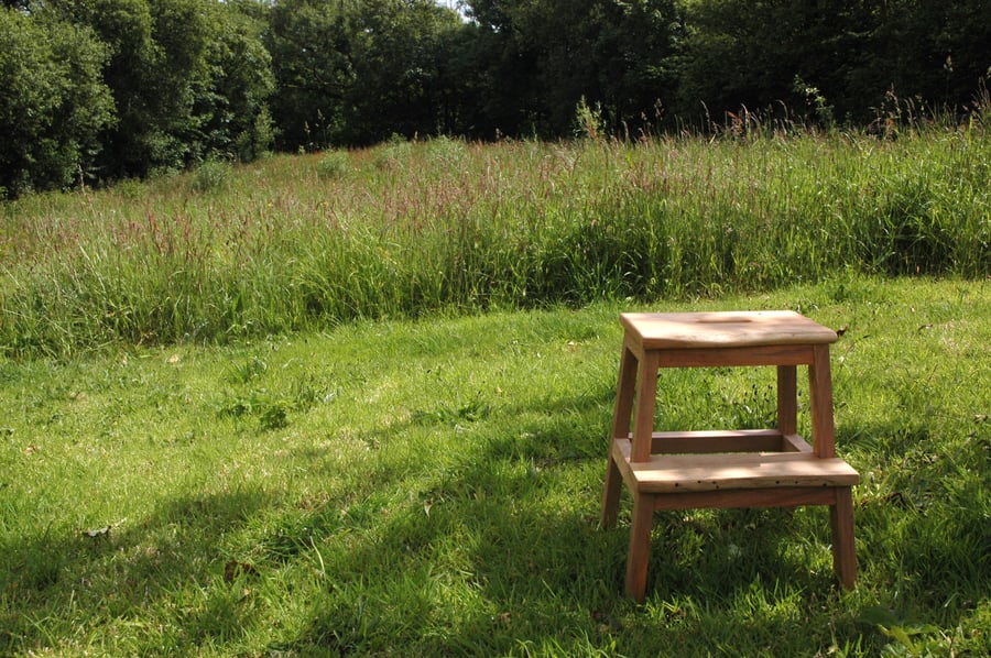 Hwylus - Step Stool Handmade in Beech and Oak