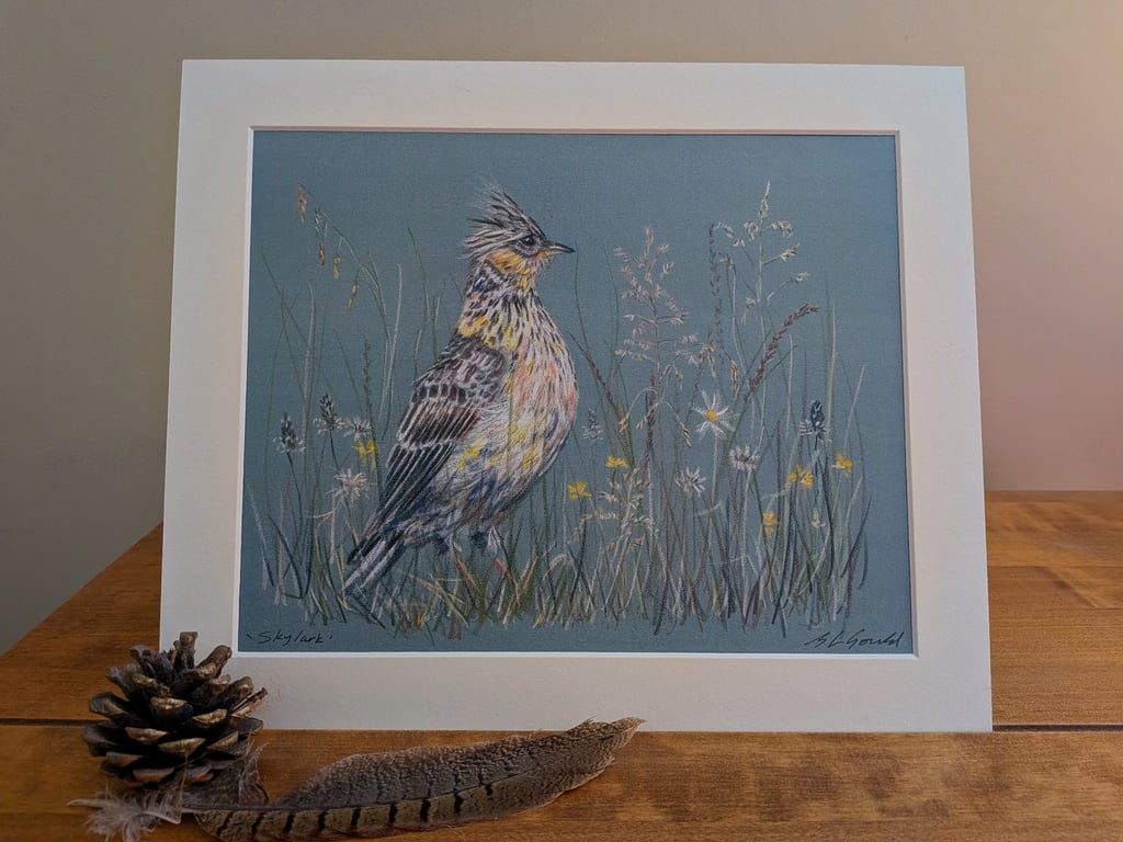 Skylark, a signed print of an original drawing