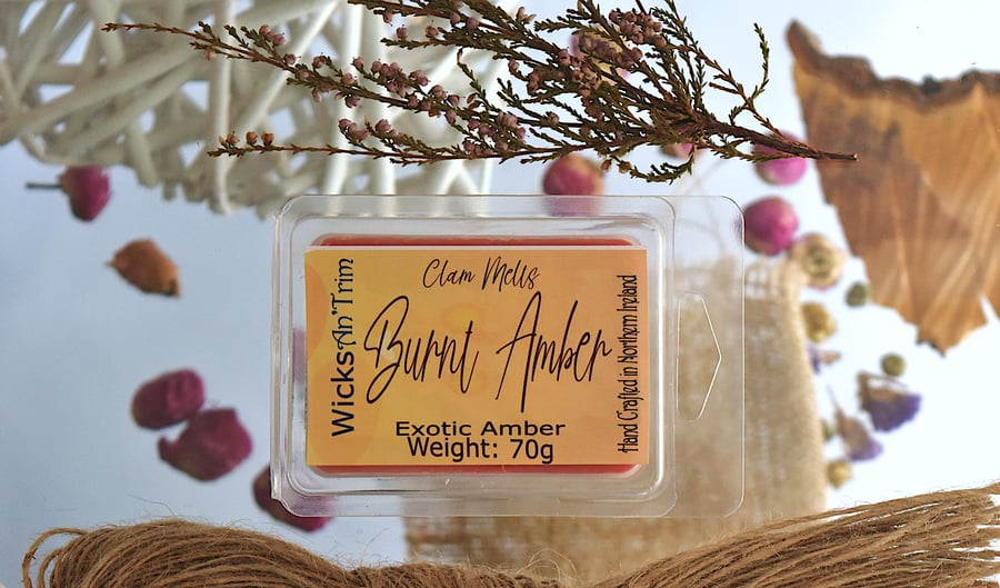 Soy Wax Melt Clam Melt - Burnt Amber