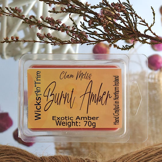 Soy Wax Melt Clam Melt - Burnt Amber