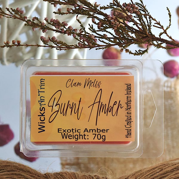 Soy Wax Melt Clam Melt - Burnt Amber