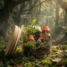 Easy Hedgehog Woodland Terrarium Kit – DIY Indoor Plant Garden Gift