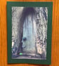 Handmade photo card of wood carving in a tree 'Peek-a-Boo'