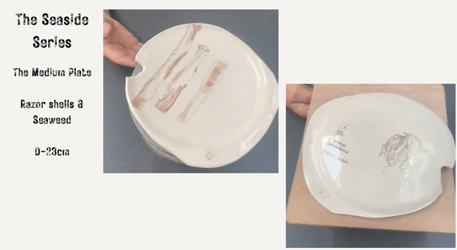 The Medium Plate - The Seaside Series