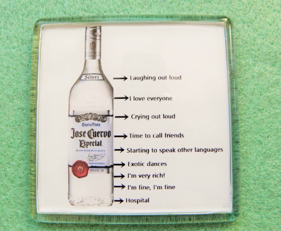 Alcohol Limits Fridge Magnet