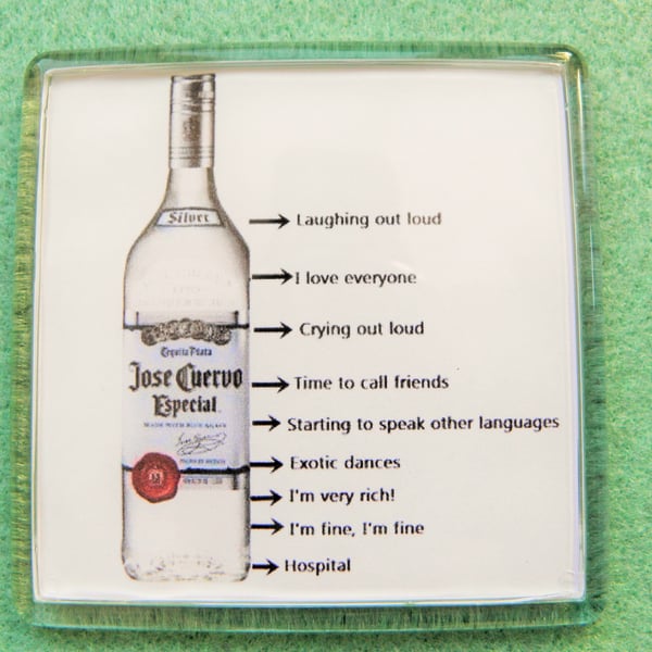 Alcohol Limits Fridge Magnet