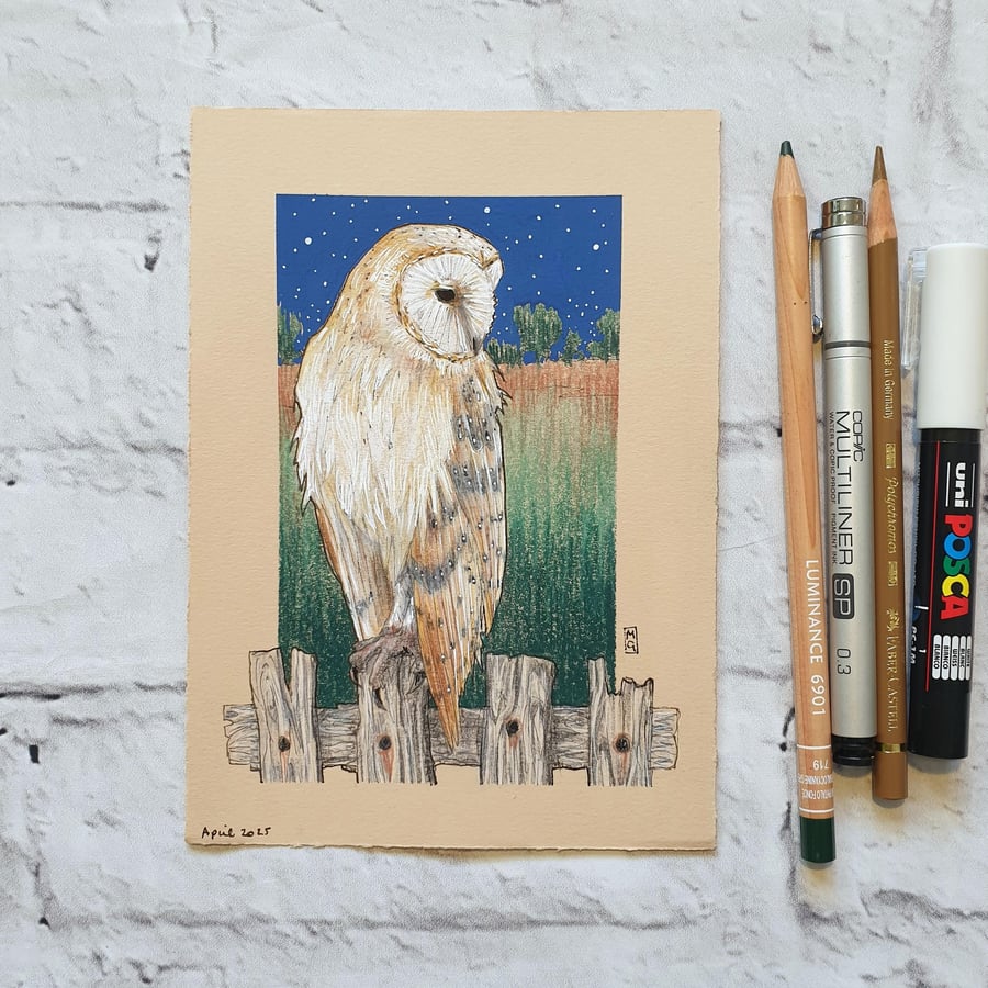 Barn Owl original drawing, owl wall art, small bird artwork
