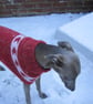 Hettie Whippet Hand Knitted Pink 'Croc' Tank - Image 5