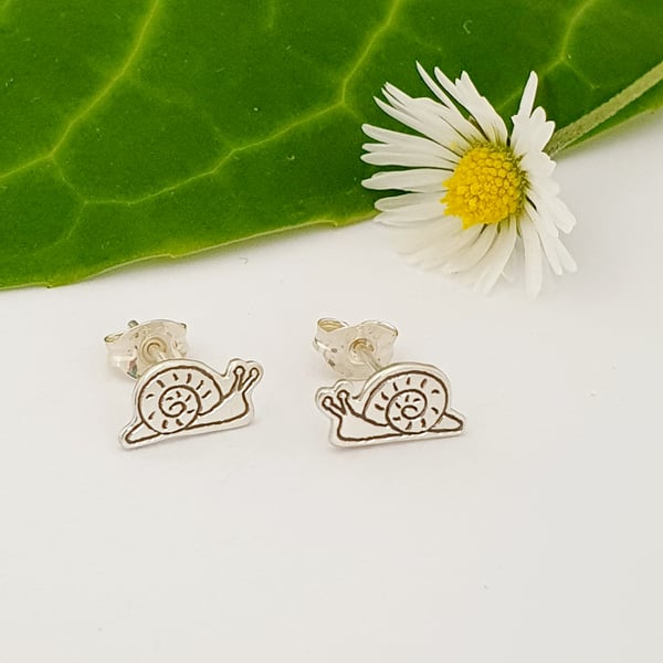 Snail Stud Earrings (Sterling Silver)