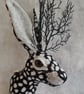 Faux jackalope head wall mount-Jack Thistlewick - Image 2