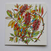 BOTTLEBRUSH BLANK GREETINGS CARD