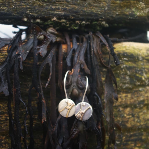 Silver and Gold  Coastal Earrings