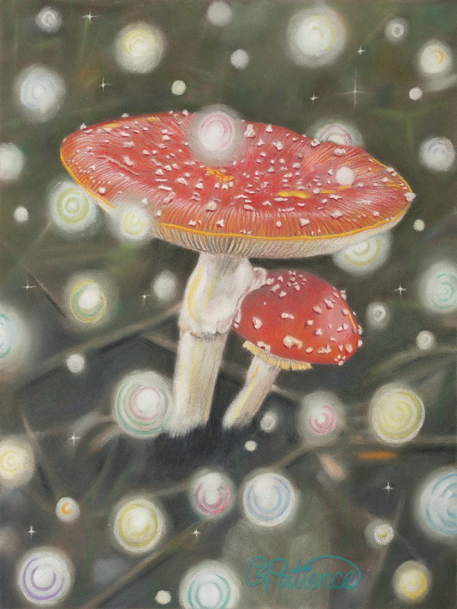 'Fairy Lights' - 5x7 - signed limited edition giclee print